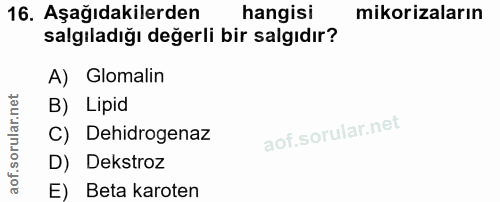 16. soru: Aşağıdakilerden hangisi mikorizaların salgıladığı değerli bir salgıdır? A) Glomalin B) Lipid C) Dehidrogenaz D) Dekst…