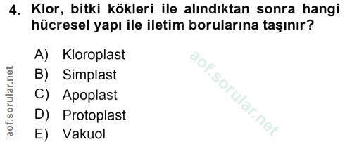 4. soru: Klor, bitki kökleri ile alındıktan sonra hangi hücresel yapı ile iletim borularına taşınır? A) Kloroplast B) Simplast…