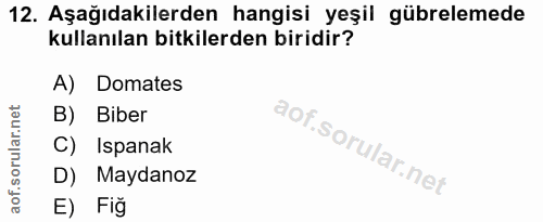 12. soru: Aşağıdakilerden hangisi yeşil gübrelemede kullanılan bitkilerden biridir? A) Domates B) Biber C) Ispanak D) Maydanoz…
