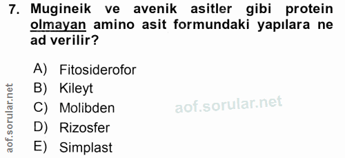 7. soru: Mugineik ve avenik asitler gibi protein olmayan amino asit formundaki yapılara ne ad verilir? A) Fitsiderofor B) Kile…