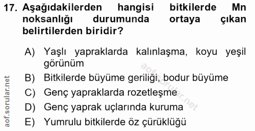 17. soru: Aşağıdakilerden hangisi bitkilerde Mn noksanlığı durumunda ortaya çıkan belirtilerden biridir? A) Yaşlı yapraklarda k…