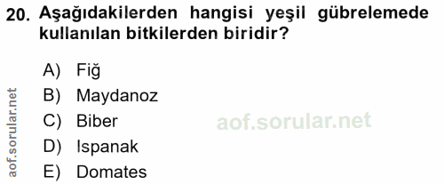 20. soru: Aşağıdakilerden hangisi yeşil gübrelemede kullanılan bitkilerden biridir? A) Fiğ rular.net B) Maydanoz C) Biber D) Is…