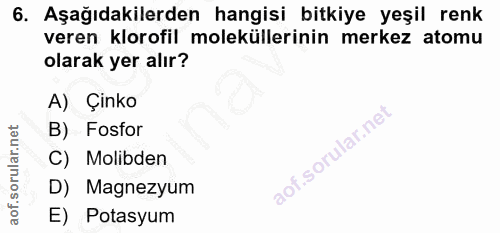 6. soru: Aşağıdakilerden hangisi bitkiye yeşil renk veren klorofil moleküllerinin merkez atomu olarak yer alır? A) Çinko B) Fo…