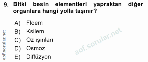 9. soru: Bitki besin elementleri yapraktan diğer organlara hangi yolla taşınır? A) Floem B) Ksilem C) Öz ışınları D) Osmoz E)…