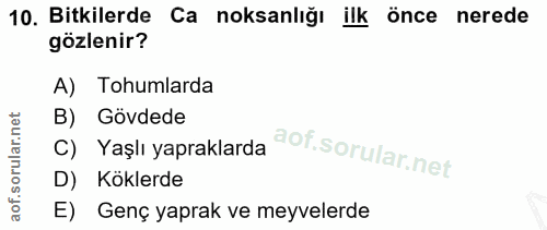 10. soru: Bitkilerde Ca noksanlığı ilk önce nerede gözlenir? A) Tohumlarda B) Gövdede C) Yaşlı yapraklarda D) Köklerde E) Genç…