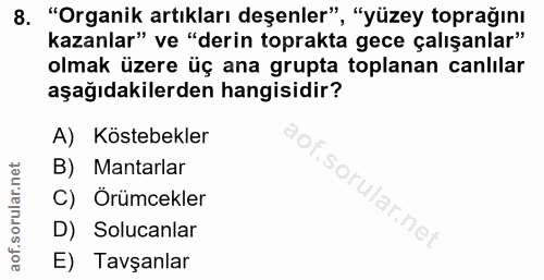 8. soru: "Organik artıkları deşenler", "yüzey toprağını kazanlar" ve "derin toprakta gece çalışanlar" olmak üzere üç ana grupt…