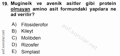 19. soru: Mugineik ve avenik asitler gibi protein olmayan amino asit formundaki yapılara ne ad verilir? A) Fitosiderofor 90 B)…