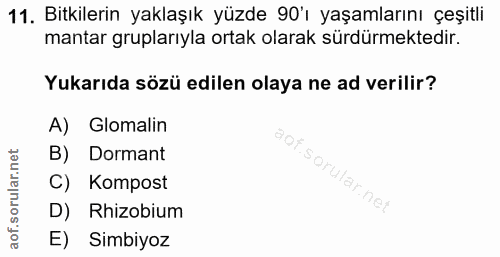 11. soru: Bitkilerin yaklaşık yüzde 90'1 yaşamlarını çeşitli mantar gruplarıyla ortak olarak sürdürmektedir. Yukarıda sözü edil…