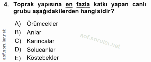 4. soru: Toprak yapısına en fazla katkı yapan canlı grubu aşağıdakilerden hangisidir? A) Örümcekler B) Arılar C) Karıncalar D)…