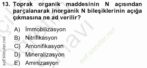 13. soru: Toprak organik maddesinin N açısından parçalanarak inorganik N bileşiklerinin açığa çıkmasına ne ad verilir? A) Immob…