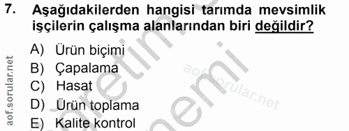 7. soru: Aşağıdakilerden hangisi tarımda mevsimlik işçilerin çalışma alanlarından biri değildir? A) Urün biçimi B) Çapalama C)…
