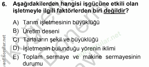 6. soru: Aşağıdakilerden hangisi işgücüne etkili olan işletmeyle ilgili faktörlerden biri değildir? A) Tarım işletmesinin büyü…