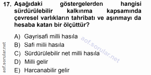 17. soru: Aşağıdaki göstergelerden hangisi sürdürülebilir kalkınma kapsamında çevresel varlıkların tahribatı ve aşınmayı da hes…