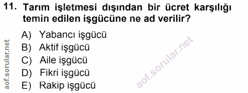 11. soru: Tarım işletmesi dışından bir ücret karşılığı temin edilen işgücüne ne ad verilir? A) Yabancı işgücü B) Aktif işgücü C…