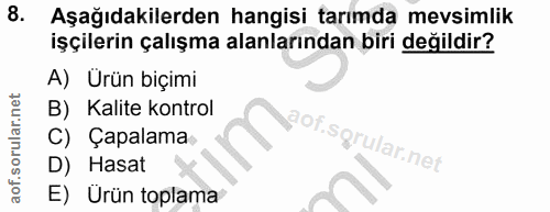 8. soru: Aşağıdakilerden hangisi tarımda mevsimlik işçilerin çalışma alanlarından biri değildir? A) Ürün biçimi B) Kalite kont…