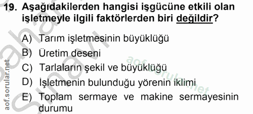 19. soru: Aşağıdakilerden hangisi işgücüne etkili olan işletmeyle ilgili faktörlerden biri değildir? A) Tarım işletmesinin büyü…
