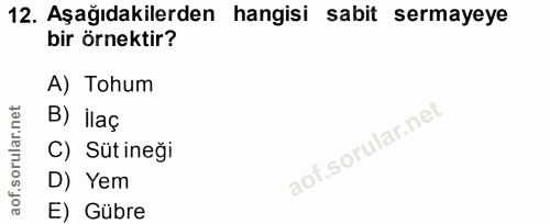 12. soru: Aşağıdakilerden hangisi sabit sermayeye bir örnektir? A) Tohum B) ilaç C) Süt ineği D) Yem E) Gübre