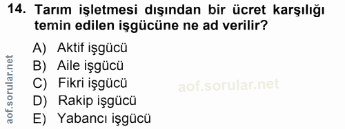 14. soru: Tarım işletmesi dışından bir ücret karşılığı temin edilen işgücüne ne ad verillir? A) Aktif işgücü B) Aile işgücü C)…
