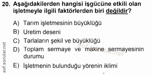20. soru: Aşağıdakilerden hangisi işgücüne etkili olan işletmeyle ilgili faktörlerden biri değildir? A) Tarım işletmesinin büyü…