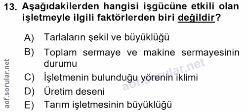 13. soru: Aşağıdakilerden hangisi işgücüne etkili olan işletmeyle ilgili faktörlerden biri değildir? A) Tarlaların şekil ve büy…