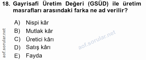 18. soru: Gayrisafi Üretim Değeri (GSÜD) ile üretim masrafları arasındaki farka ne ad verilir? A) Nispi kâr B) Mutlak kâr C) Ür…
