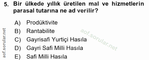 5. soru: Bir ülkede yıllık üretilen mal ve hizmetlerin parasal tutarına ne ad verilir? A) Prodüktivite B) Rantabilite C) Gayri…