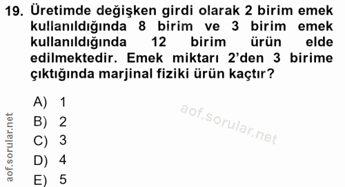 19. soru: Üretimde değişken girdi olarak 2 birim emek kullanıldığında 8 birim ve 3 birim emek kullanıldığında 12 birim ürün eld…
