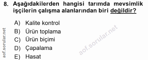 8. soru: Aşağıdakilerden hangisi tarımda mevsimlik işçilerin çalışma alanlarından biri değildir? A) Kalite kontrol B) Urün top…