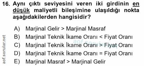 16. soru: Aynı çıktı seviyesini veren iki girdinin en düşük maliyetli bileşimine ulaşıldığı nokta aşağıdakilerden hangisidir? A…