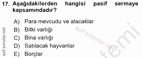 17. soru: Aşağıdakilerden hangisi pasif sermaye kapsamındadır? A) Para mevcudu ve alacaklar B) Bitki varlığı C) Bina varlığı ru…