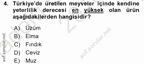 4. soru: Türkiye'de üretilen meyveler içinde kendine yeterlilik derecesi en yüksek olan ürün aşağıdakilerden hangisidir? A) Üz…