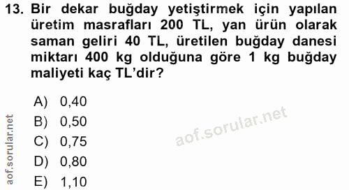 13. soru: Bir dekar buğday yetiştirmek için yapılan üretim masrafları 200 TL, yan ürün olarak saman geliri 40 TL, üretilen buğd…