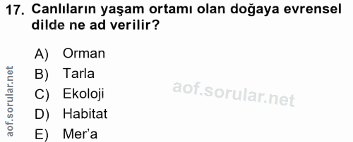 17. soru: Canlıların yaşam ortamı olan doğaya evrensel dilde ne ad verilir? A) Orman B) Tarla C) Ekoloji D) Habitat E) Mer'a