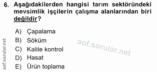 6. soru: Aşağıdakilerden hangisi tarım sektöründeki mevsimlik işçilerin çalışma alanlarından biri değildir? A) Çapalama B) Sök…