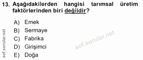 13. soru: Aşağıdakilerden hangisi tarımsal üretim faktörlerinden biri değildir? A) Emek rular.net B) Sermaye C) Fabrika D) Giri…
