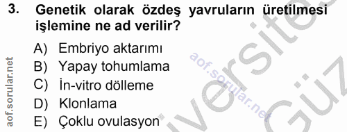 3. soru: Genetik olarak özdeş yavruların üretilmesi işlemine ne ad verilir? A) Embriyo aktarımı B) Yapay tohumlama aof.so lof.…