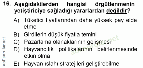 16. soru: Aşağıdakilerden hangisi örgütlenmenin yetiştiriciye sağladığı yararlardan değildir? A) Tüketici fiyatlarından daha yü…