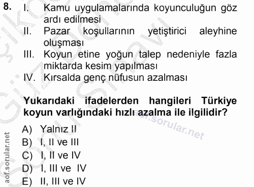 8. soru: I. Kamu uygulamalarında koyunculuğun göz ardı edilmesi Il. Pazar koşullarının yetiştirici aleyhine oluşması IlI. Koyu…