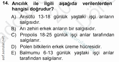 14. soru: Arıcılık ile ilgili aşağıda verilenlerden hangisi doğrudur? A) Arısütü 13-18 günlük yaştaki işçi arıların salgısıdır.…