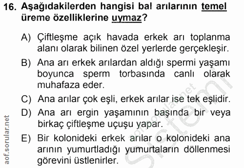 16. soru: Aşağıdakilerden hangisi bal arılarının temel üreme özelliklerine uymaz? A) Çiftleşme açık havada erkek arı toplanma a…