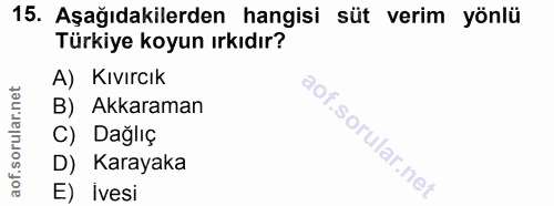15. soru: Aşağıdakilerden hangisi süt verim yönlü Türkiye koyun ırkıdır? A) Kıvırcık B) Akkaraman C) Dağlıç D) Karayaka E) İvesi