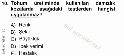 10. soru: Tohum üretiminde kullanılan damızlık kozalarda aşağıdaki testlerden hangisi uygulanmaz? A) Renk B) Şekil C) Büyüklük…