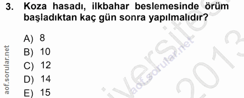 3. soru: Koza hasadı, ilkbahar beslemesinde örüm başladıktan kaç gün sonra yapılmalıdır? A) 8 B) 10 C) 12 -soruła D) 14 E) 15