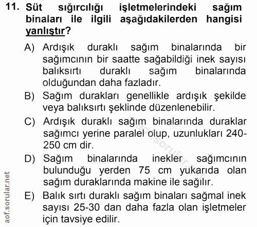 11. soru: Süt sığırcılığı işletmelerindeki sağım binaları ile ilgili aşağıdakilerden hangisi yanlıştır? A) Ardışık duraklı sağı…