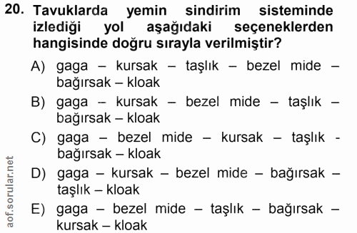 20. soru: Tavuklarda yemin sindirim sisteminde izlediği yol aşağıdaki seçeneklerden hangisinde doğru sırayla verilmiştir? A) ga…
