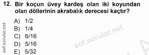 12. soru: Bir koçun üvey kardeş olan iki koyundan olan döllerinin akrabalık derecesi kaçtır? A) 1/2 B) 1/4 C) 6/16 D) 5/16 E) 5/32