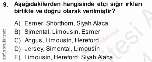 9. soru: Aşağıdakilerden hangisinde etçi sığır ırkları birlikte ve doğru olarak verilmiştir? A) Esmer, Shorthorn, Siyah Alaca…