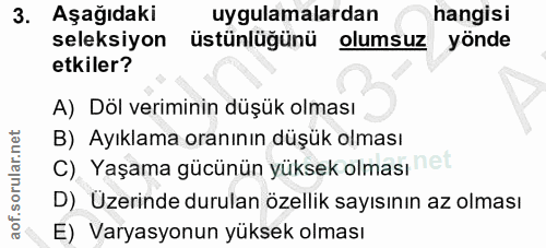 3. soru: Aşağıdaki uygulamalardan hangisi seleksiyon üstünlüğünü olumsuz yönde etkiler? A) Döl veriminin düşük olması B) Ayıkl…