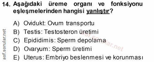 14. soru: Aşağıdaki üreme organı ve fonksiyonu eşleşmelerinden hangisi yanlıştır? A) Ovidukt: Ovum transportu B) Testis: Testos…