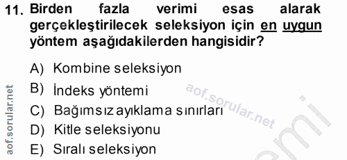 11. soru: Birden fazla verimi esas alarak gerçekleştirilecek seleksiyon için en uygun yöntem aşağıdakilerden hangisidir? A) Kom…